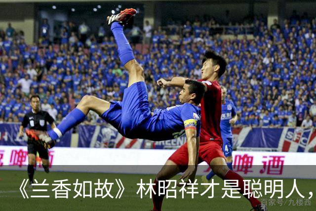 《兰香如故》林昭祥才是聪明人，林锦岐最终舍侯位归隐金陵