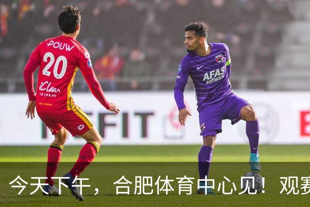 今天下午，合肥体育中心见！观赛全指南来了