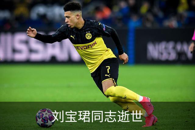 刘宝珺同志逝世