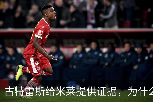 古特雷斯给米莱提供证据，为什么联合国最擅长巴勒斯坦议题