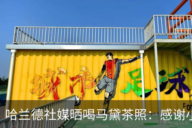 哈兰德社媒晒喝马黛茶照：感谢小蜘蛛、恩佐介绍这款美味饮品