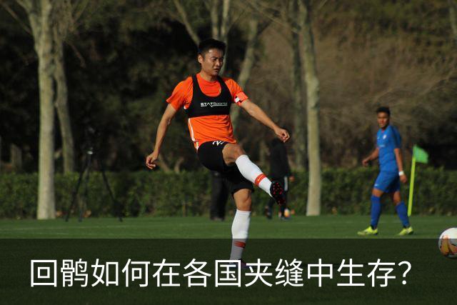 回鹘如何在各国夹缝中生存？