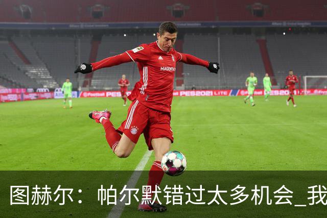 图赫尔：帕尔默错过太多机会 我只依赖在队内亲眼所见