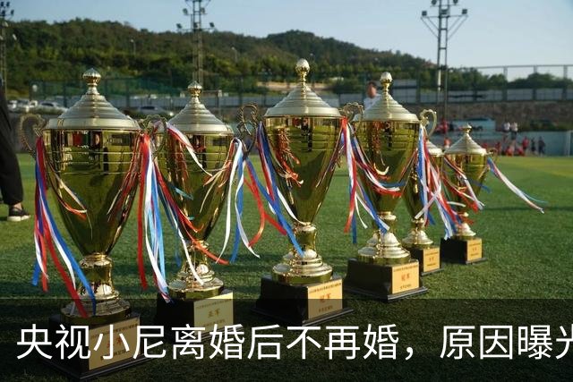 央视小尼离婚后不再婚，原因曝光：不是放不下前妻，是放不下母亲
