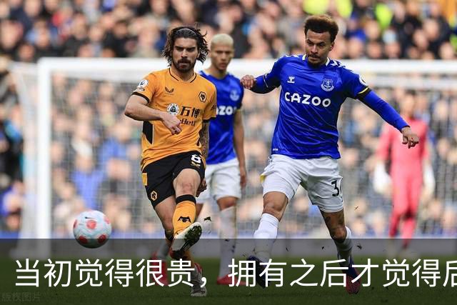 当初觉得很贵，拥有之后才觉得后悔没早买 网友：这我太有发言权了
