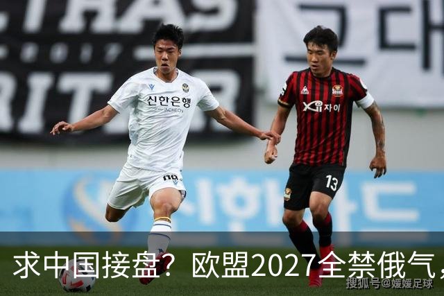 求中国接盘？欧盟2027全禁俄气，俄天然气无路可走，中方对半砍价