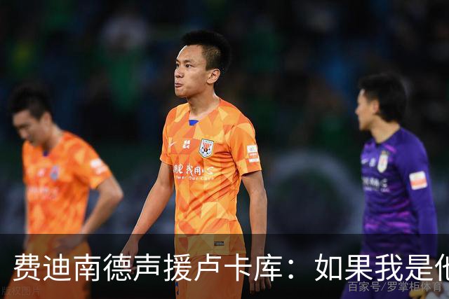 费迪南德声援卢卡库：如果我是他 我可能会疯