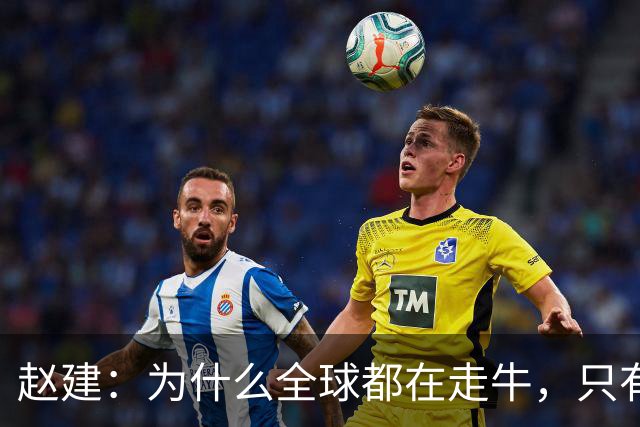 赵建：为什么全球都在走牛，只有中国例外？