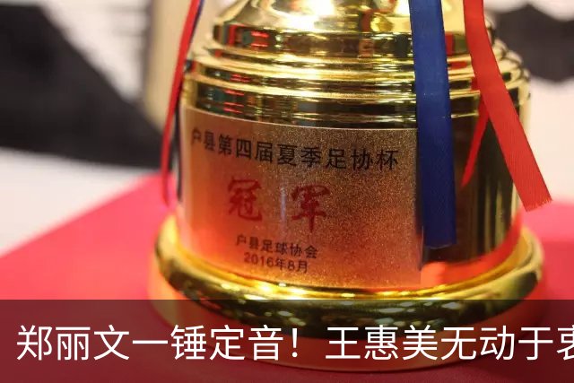 郑丽文一锤定音！王惠美无动于衷 李鸿源果断出手 邱建富坐不住了