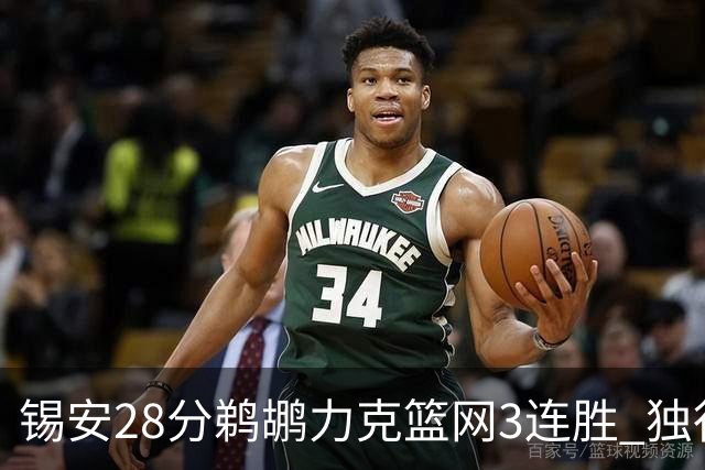 锡安28分鹈鹕力克篮网3连胜 独行侠险胜马刺