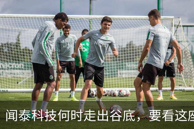 闻泰科技何时走出谷底，要看这座“兄弟”工厂的？