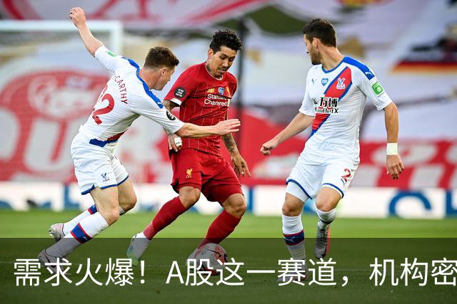 需求火爆！A股这一赛道，机构密集调研