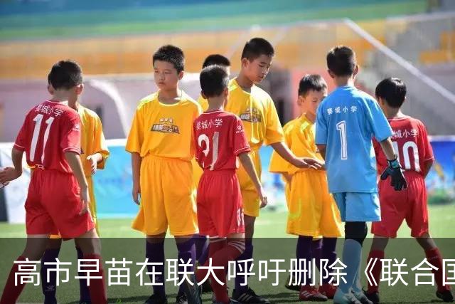 高市早苗在联大呼吁删除《联合国宪章》“敌国条款”，外交部回应