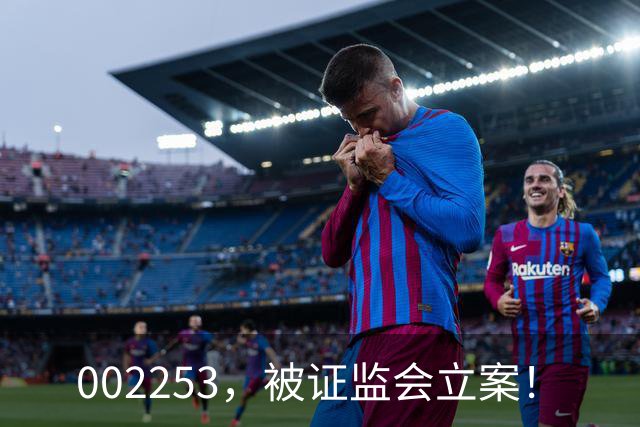 002253，被证监会立案！