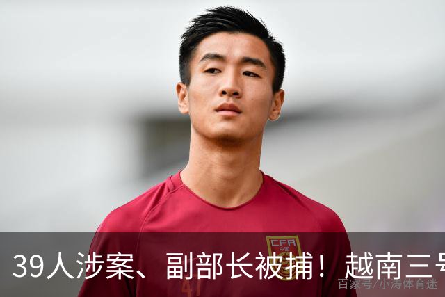 39人涉案、副部长被捕！越南三号人物亲自 赴京求情，中方回应