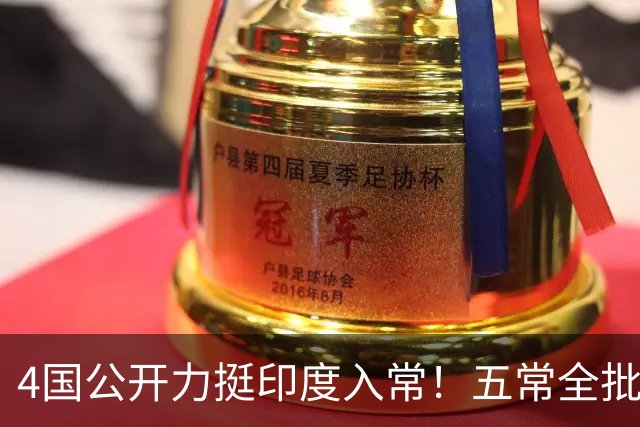 4国公开力挺印度入常！五常全批才可生效，缺中国同意根本行不通